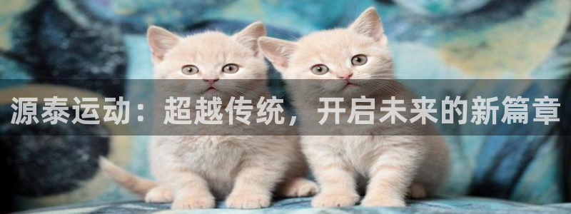 好博体育官网下载平台是正规平台吗知乎:源泰运动:超越传统,开