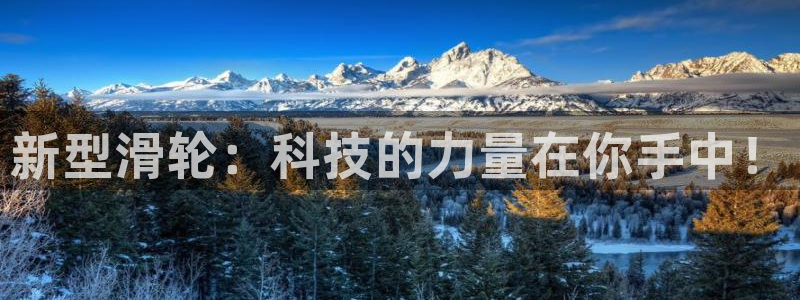 好博体育官网下载软件:新型滑轮:科技的力量在你手中!