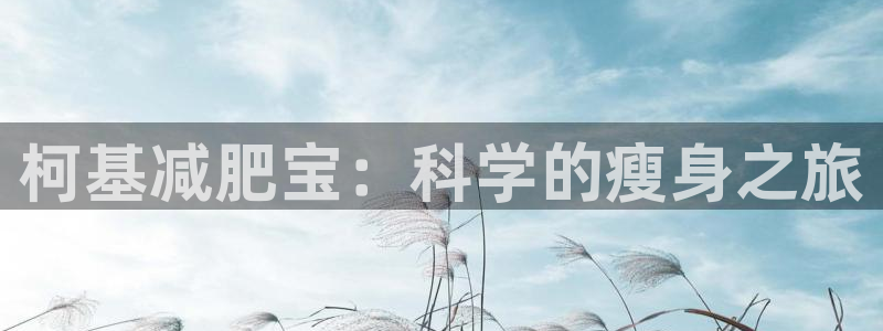 好博体育官网下载招商:柯基减肥宝:科学的瘦身之旅