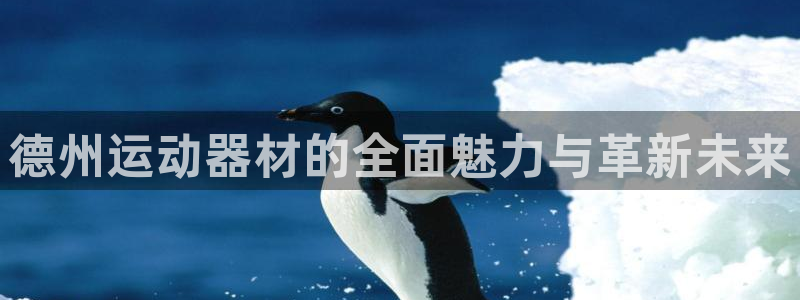 好博体育官网下载招商电话是多少号码:德州运动器材的全面魅力与